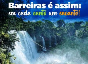 Capa_tt