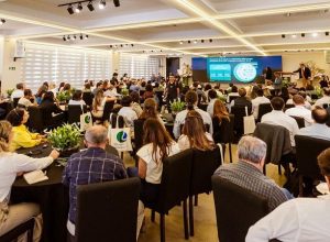 WhatsApp Image 2025-04-15 at 17.55.19