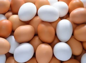 alimentacao-de-galinhas-influi-nos-precos-de-diferentes-tipos-de-ovos-1715878592133_v2_900x506.jpg