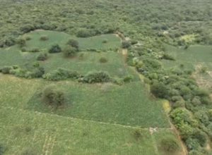 foto-no-tamanho-home-2026-02-21t085105.798