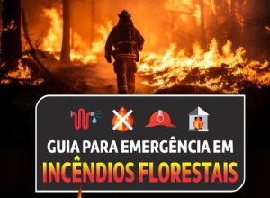 guia orientativo