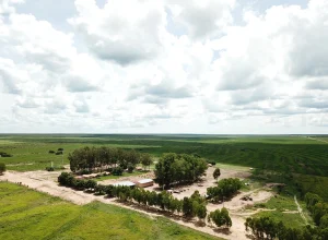 saiba-qual-foi-e-onde-fica-a-fazenda-baiana-que-acaba-de-ser-vendida-por-r-1414-milhoes-2815630-article