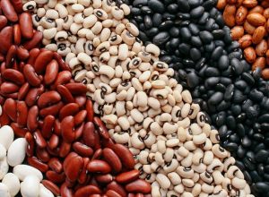 tipos-de-feijao-1549036437289_v2_900x506